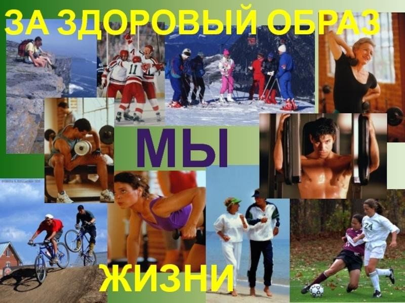 Пропаганда здорового образа жизни проект по обществознанию