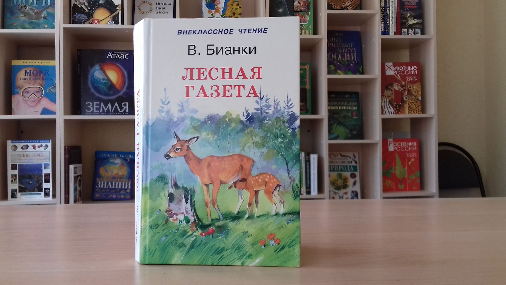 Сказки несказки бианки. Бианки, в.в. Лесная газета Внеклассное чтение. Библиотека Бианки. Лесная газета животные. Лесная газета Бианки рисунок.