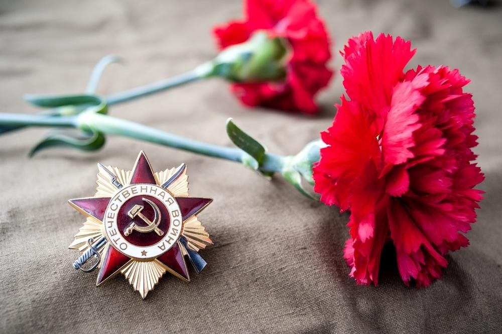 Цветок победы картинки