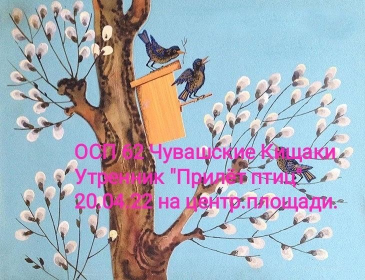 Песни весенние птицы. Птицы в весеннем лесу. Скворец скворушка скворечник. Птицы поют. Птицы поют.