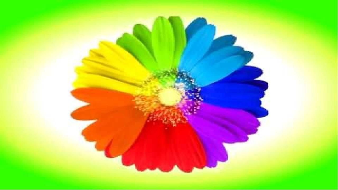 Фон для презентации цветик семицветик