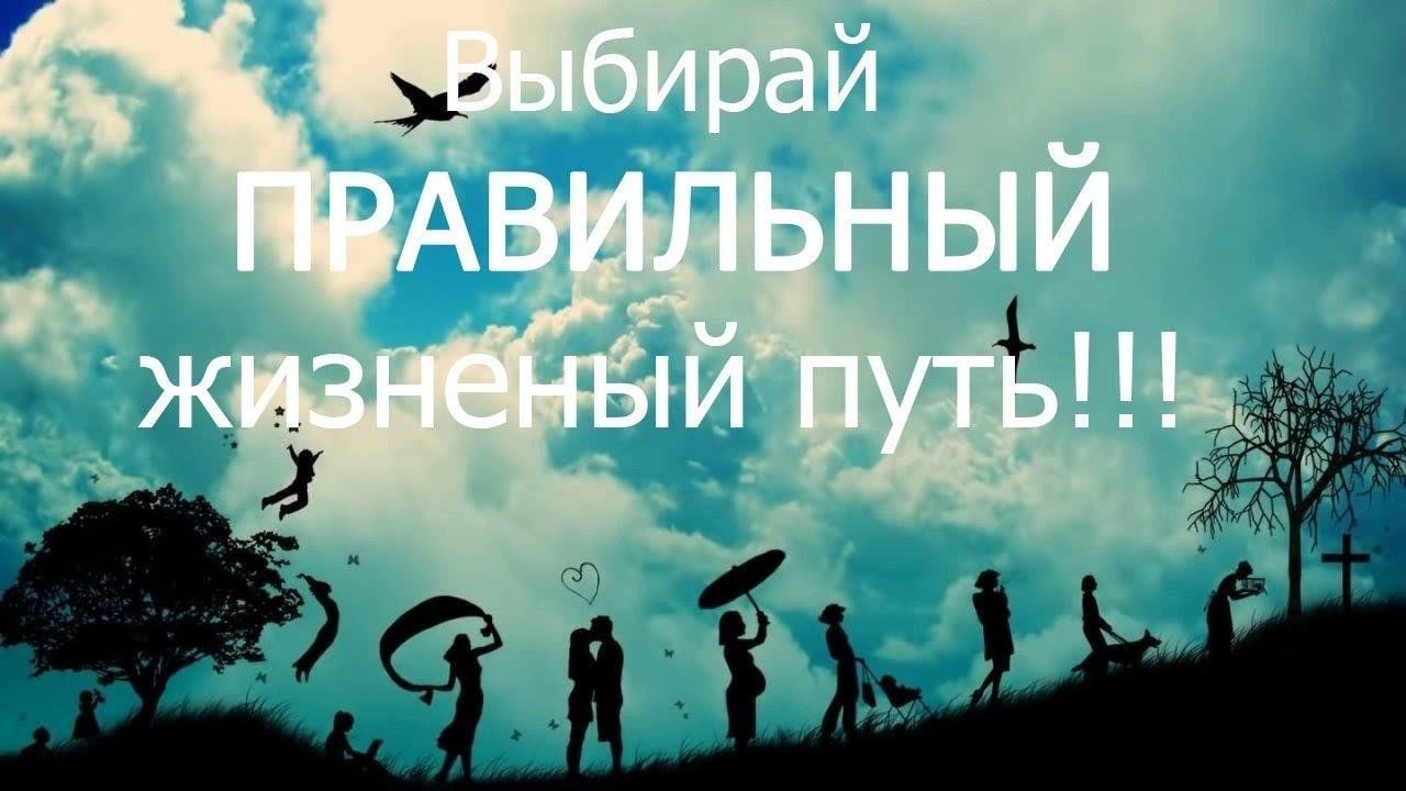 Интерактивная программа«Не ошибись, выбирая свой путь!» 2024, Терновский  район — дата и место проведения, программа мероприятия.