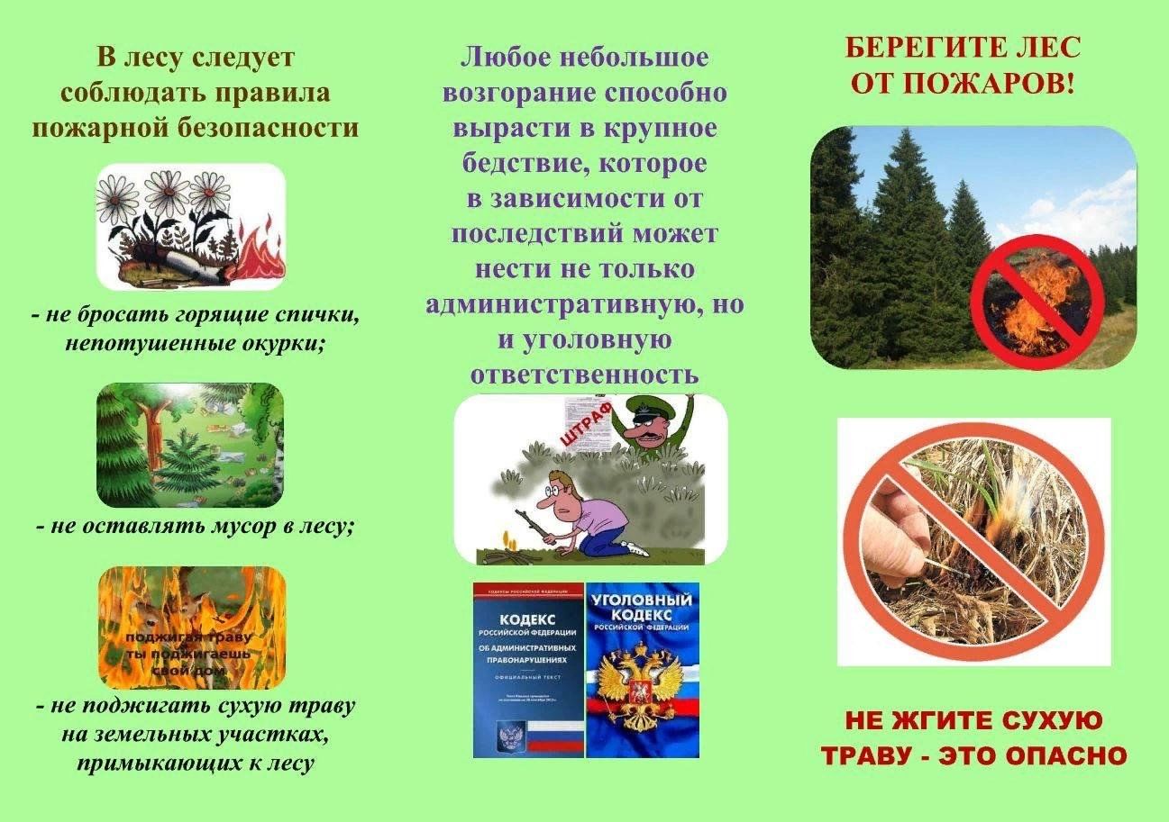 листовка берегите природу