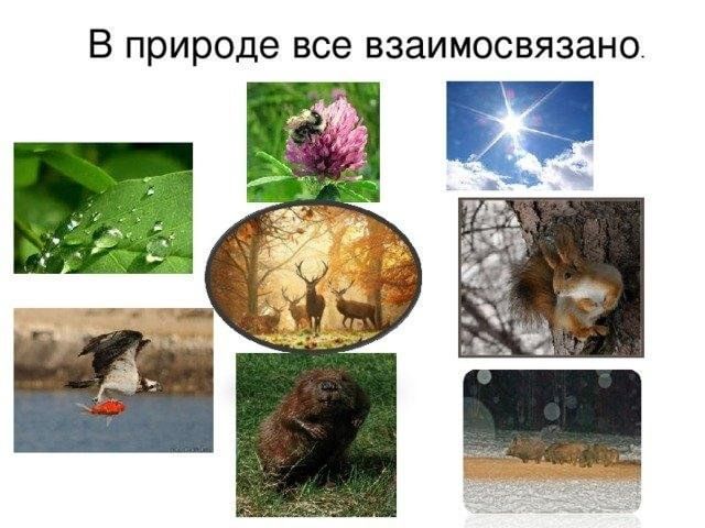 Взаимосвязано