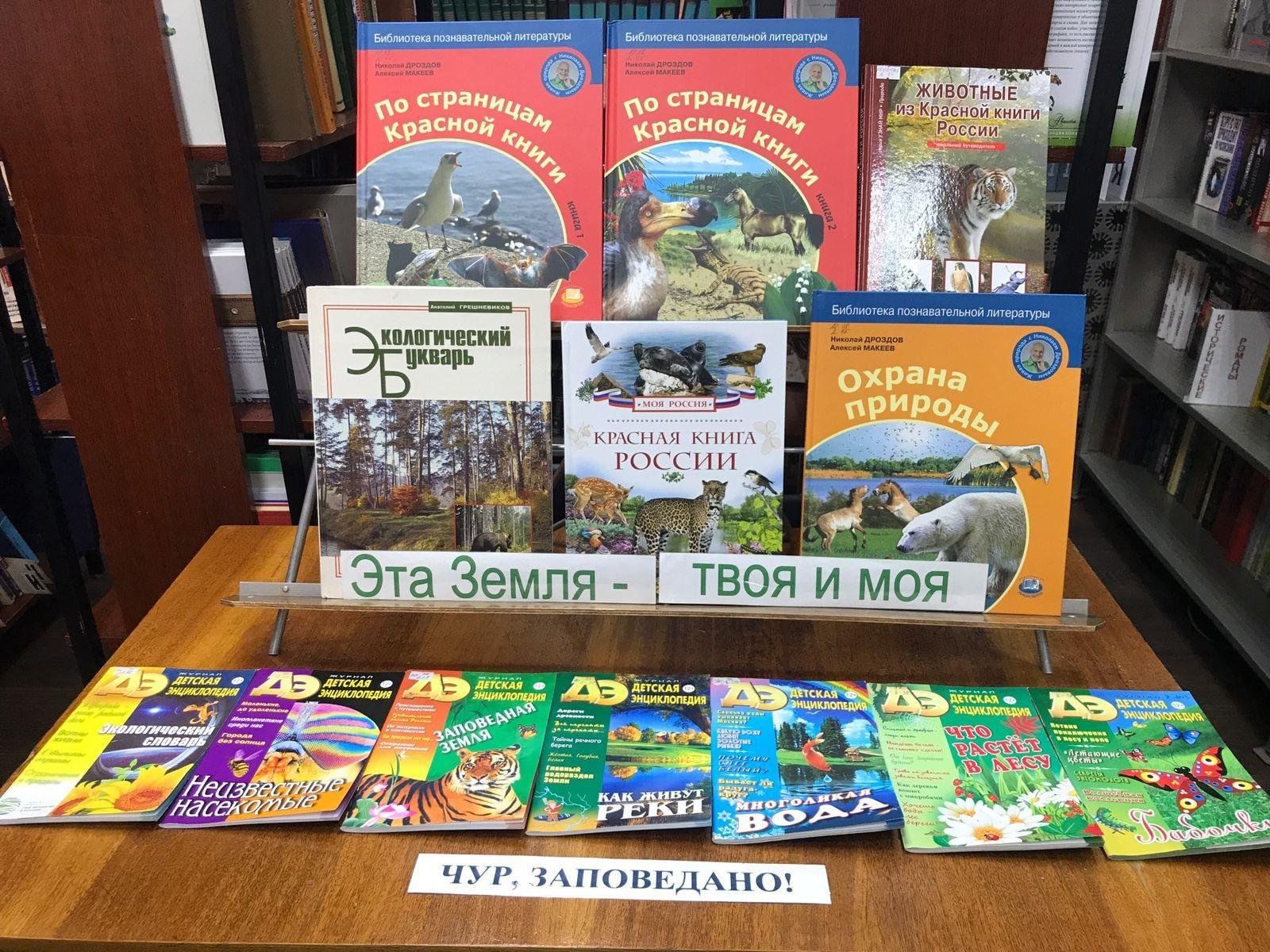 экологический час «На красной странице- звери и птицы». 2023, Орехово ...