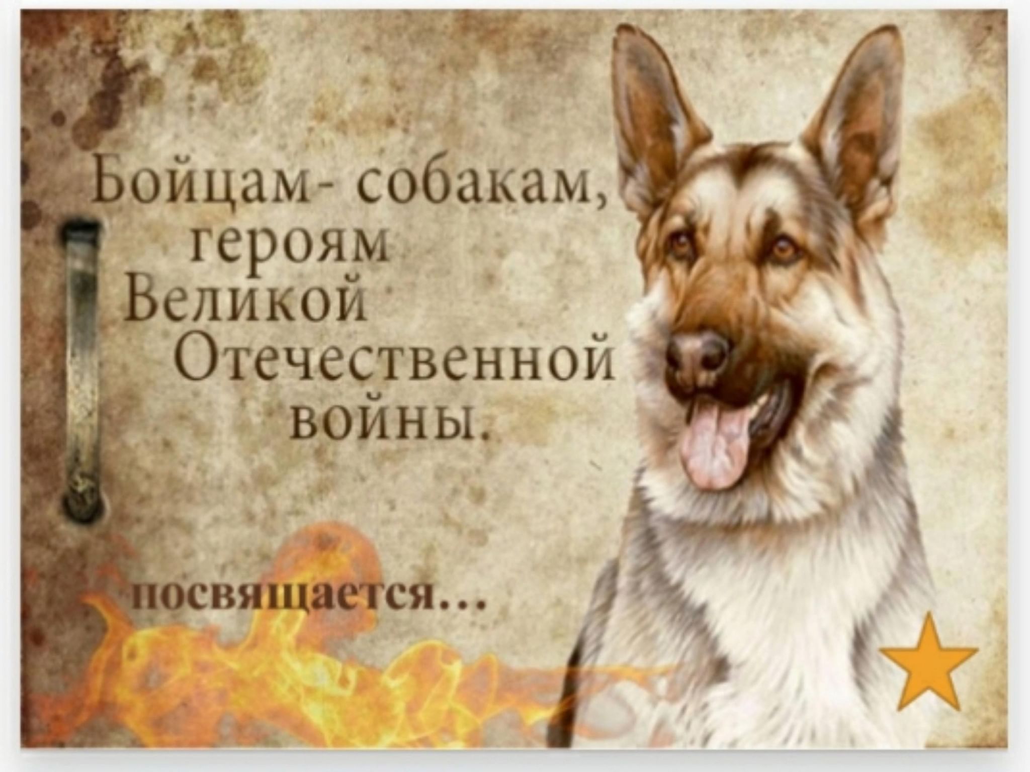 Подвиг собак в Великой Отечественной войне