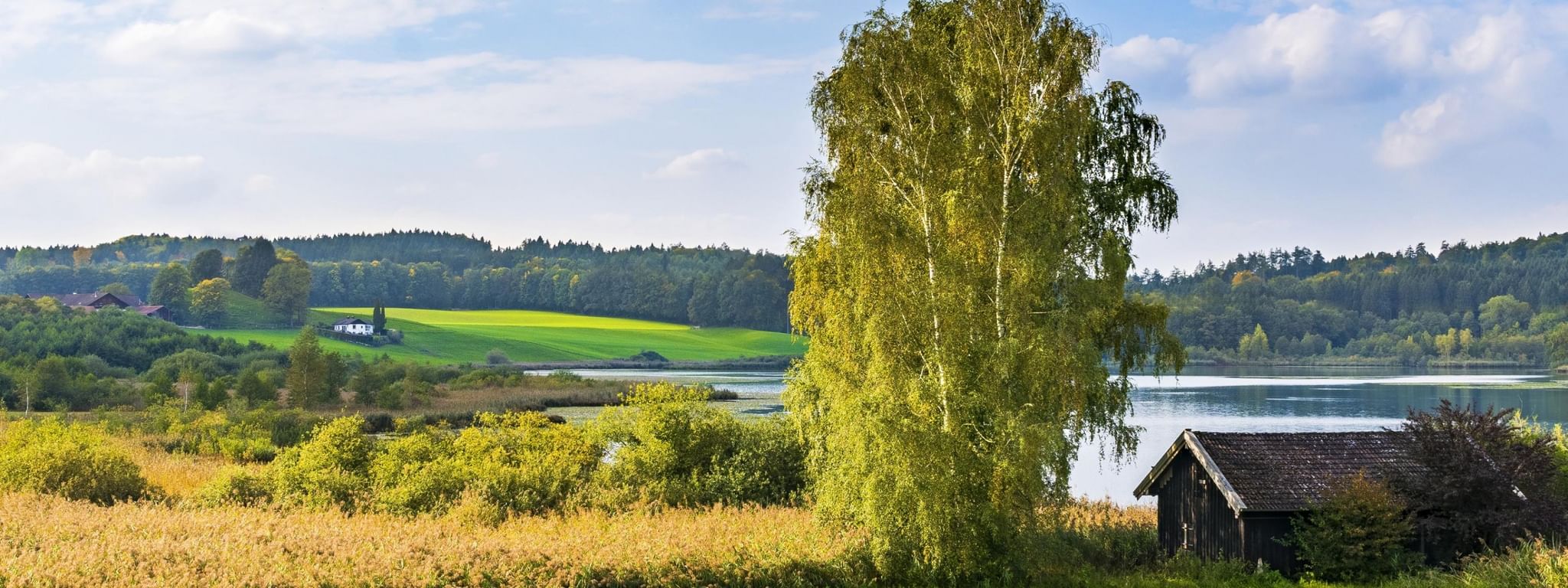 Про село. Деревня береза поле Россия. Природа лес река деревенский дом березы. Озеро Березовое Березово. Деревня летом.