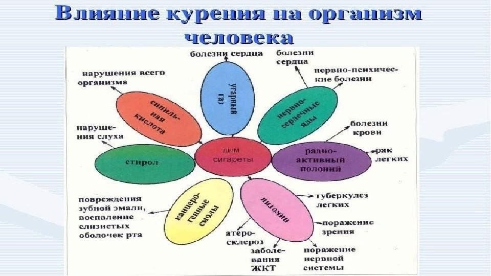 План беседы с подростками о влиянии вредных привычек на организм человека