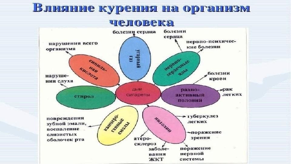 Как курение влияет на здоровье человека проект