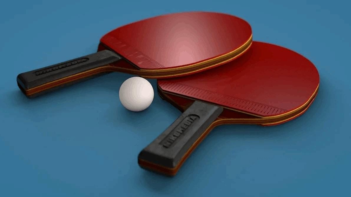 Настольный теннис воронеж. Ракетка для настольного тенниса Champion 136. 3д модель ракетки для настольного тенниса. Скрещенные ракетки для настольного тенниса. 3d модель ракетки настольного тенниса