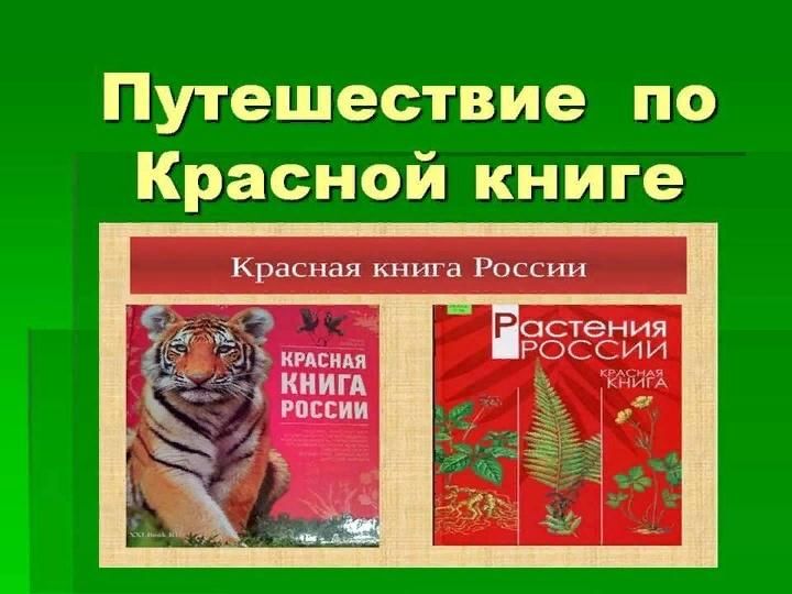 Путешествие по красной книге презентация