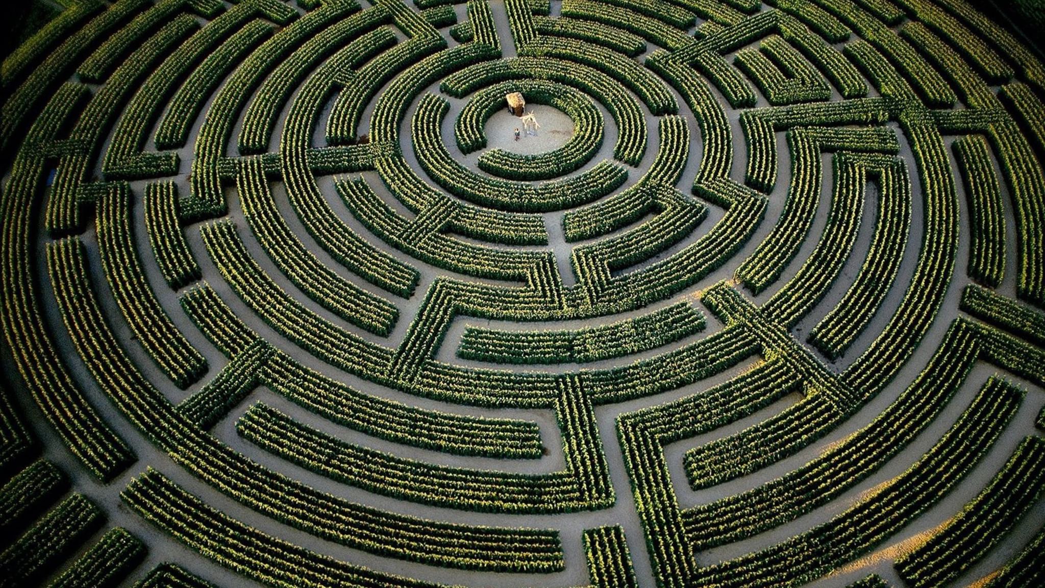 Лабиринт разгадать. Reignac-sur-Indre Лабиринт. Reignac-sur-Indre, Франция. Il labirinto Италия.