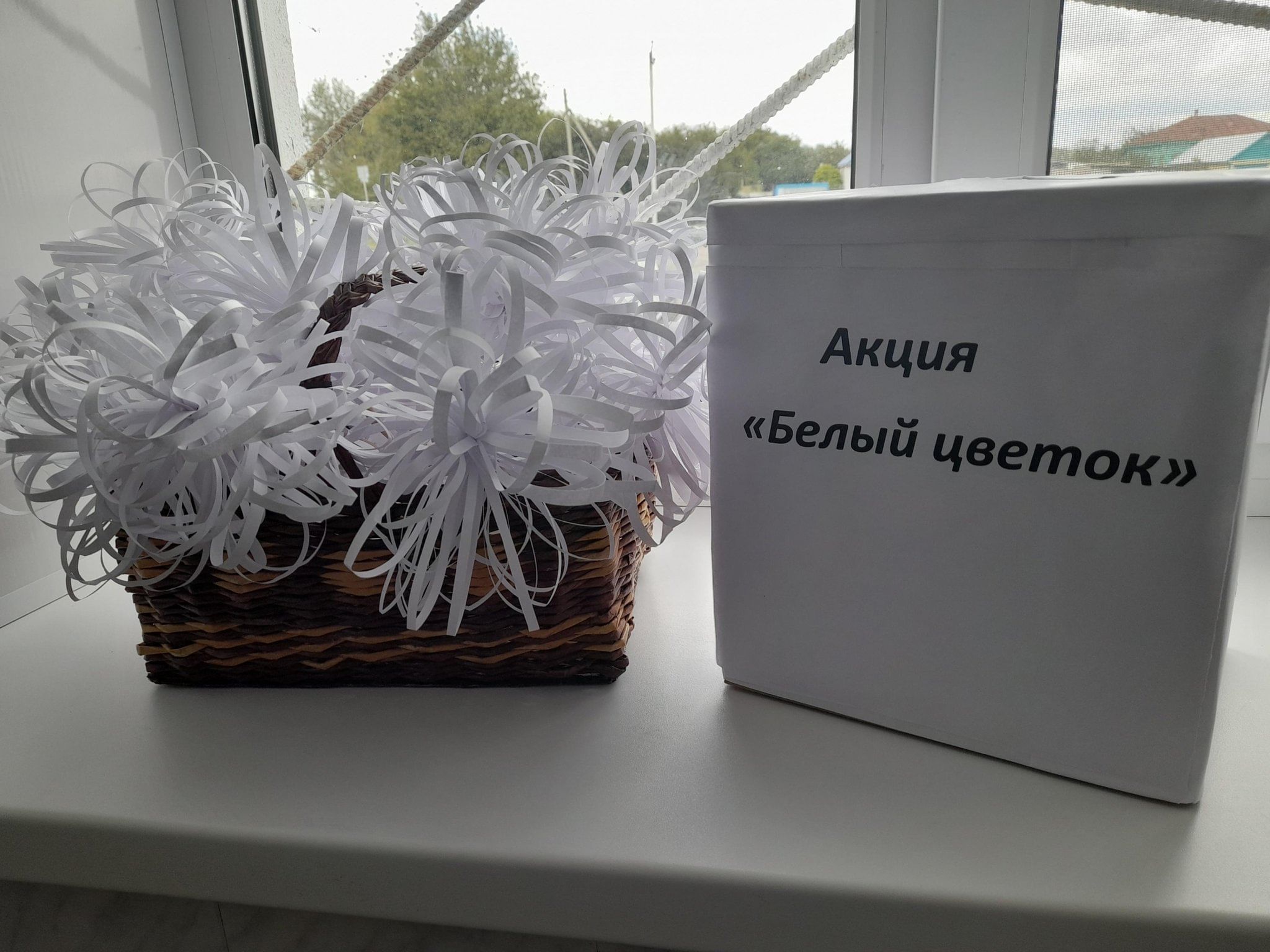 Акция белый цветок как сделать своими руками
