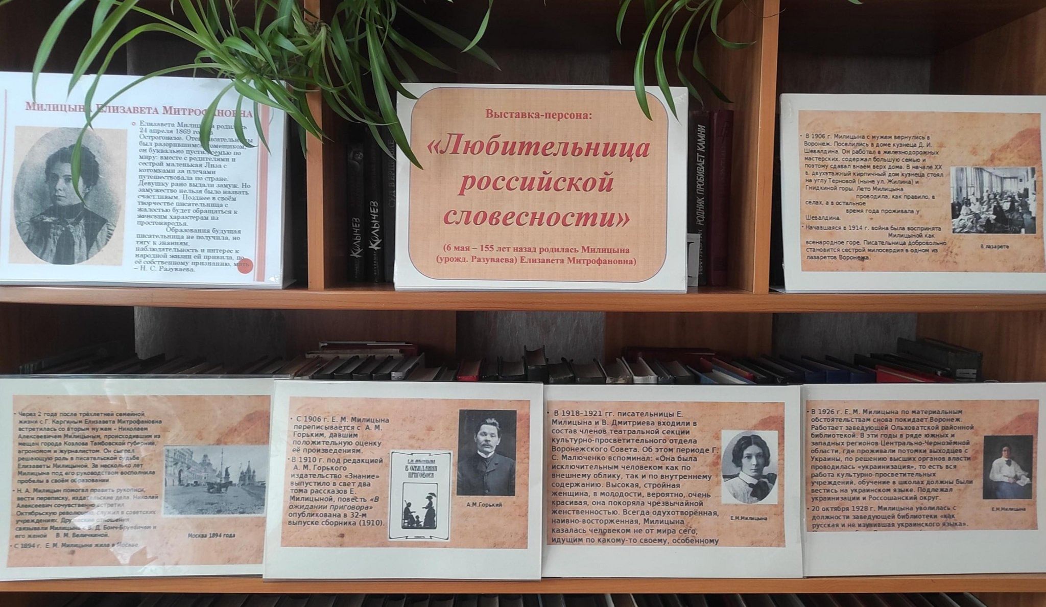 Выставка-персона: «Любительница российской словесности» (к 155-летию Е.М.  Милицыной) 2024, Острогожский район — дата и место проведения, программа  мероприятия.