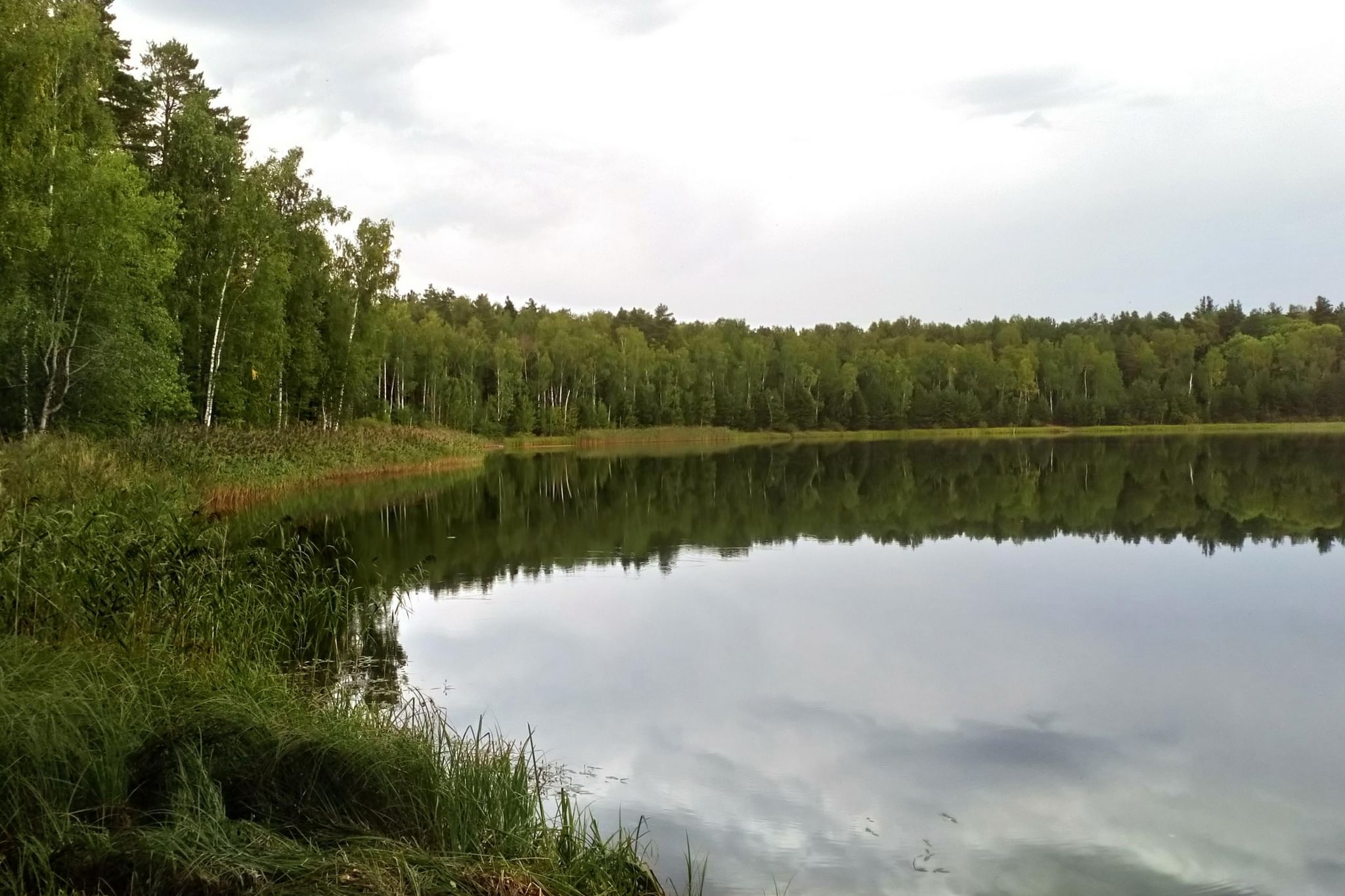 Озеро Посадниковское Новоржевского