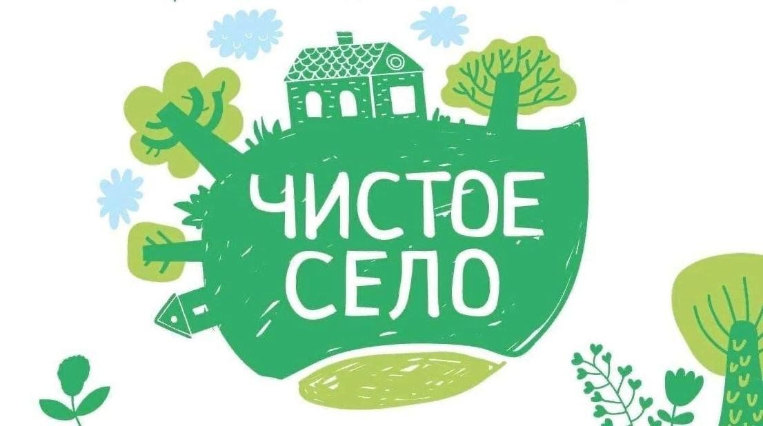 Проект чистое село