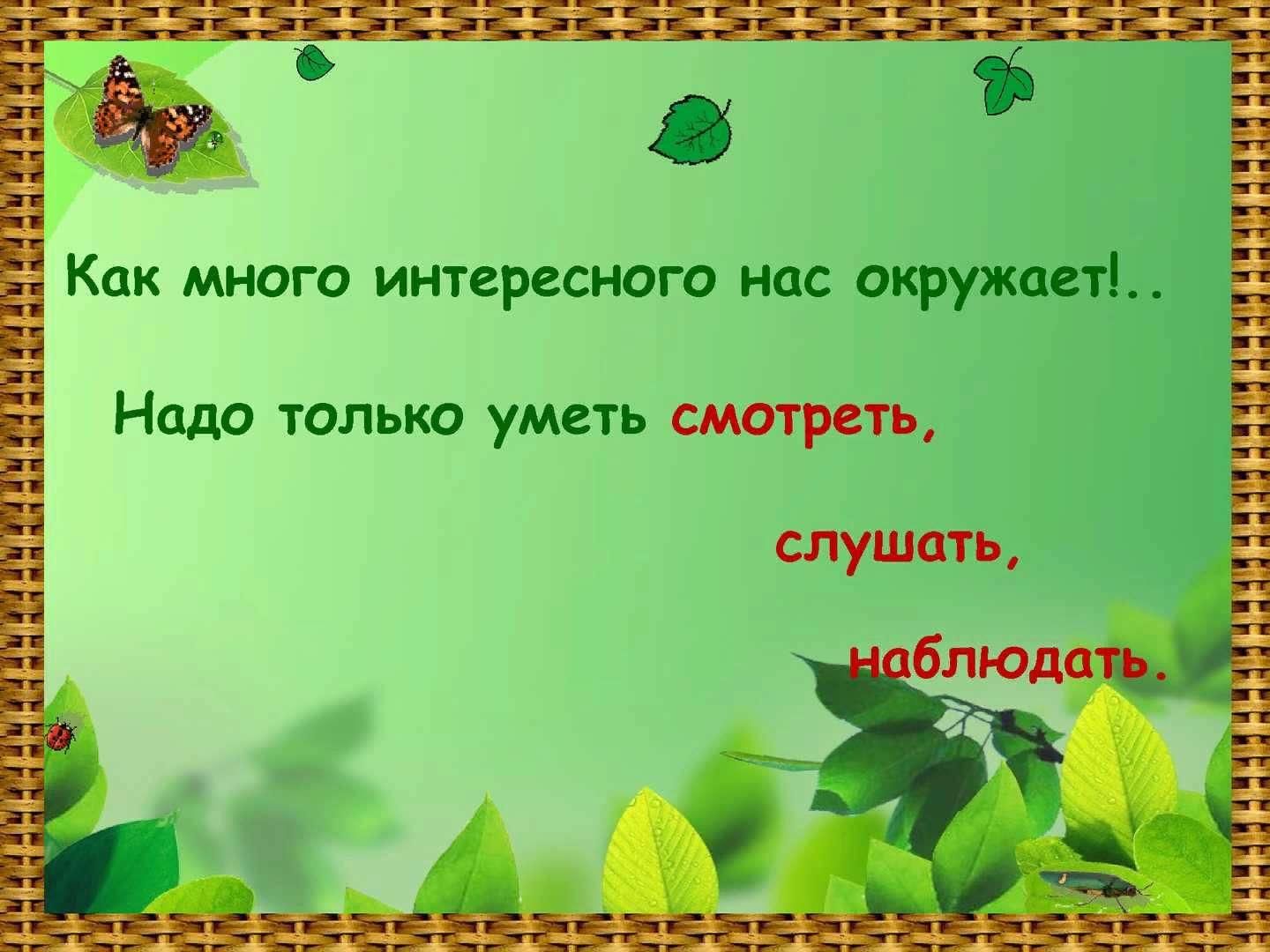 Викторина для дошкольников презентация окружающий мир