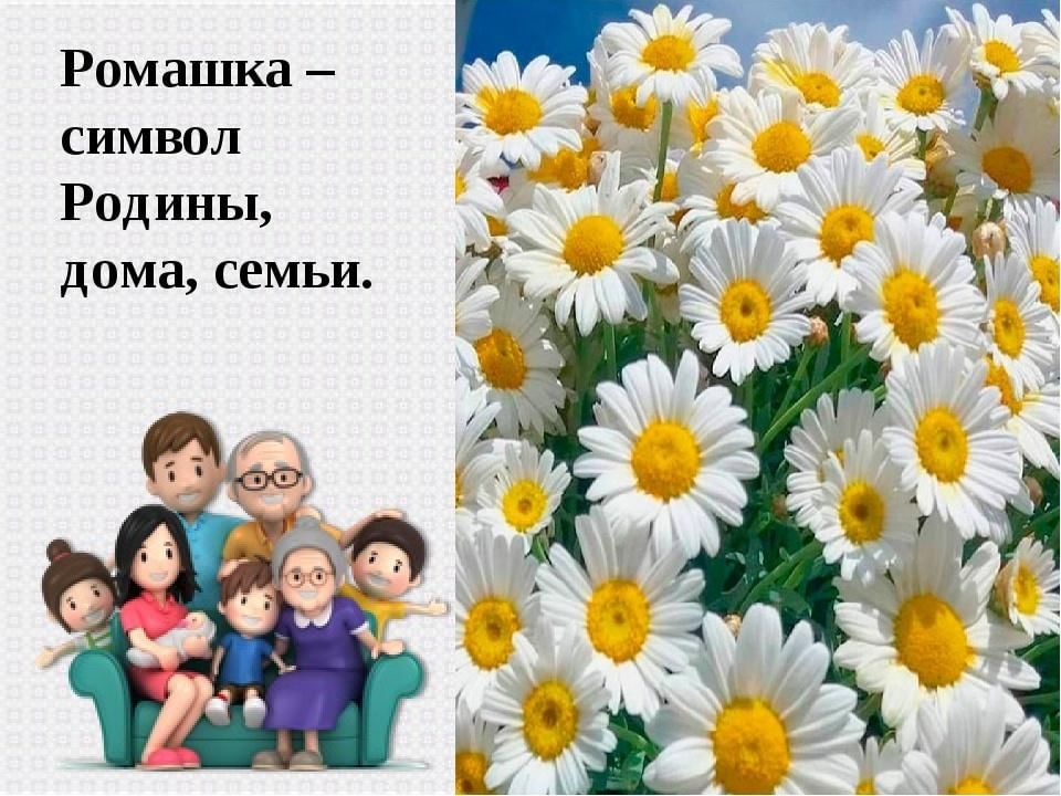 Символ любви семьи и верности картинки и