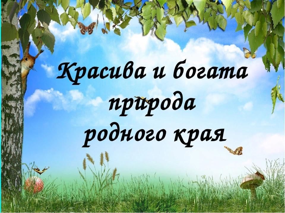 Проект донбасс мой родной край