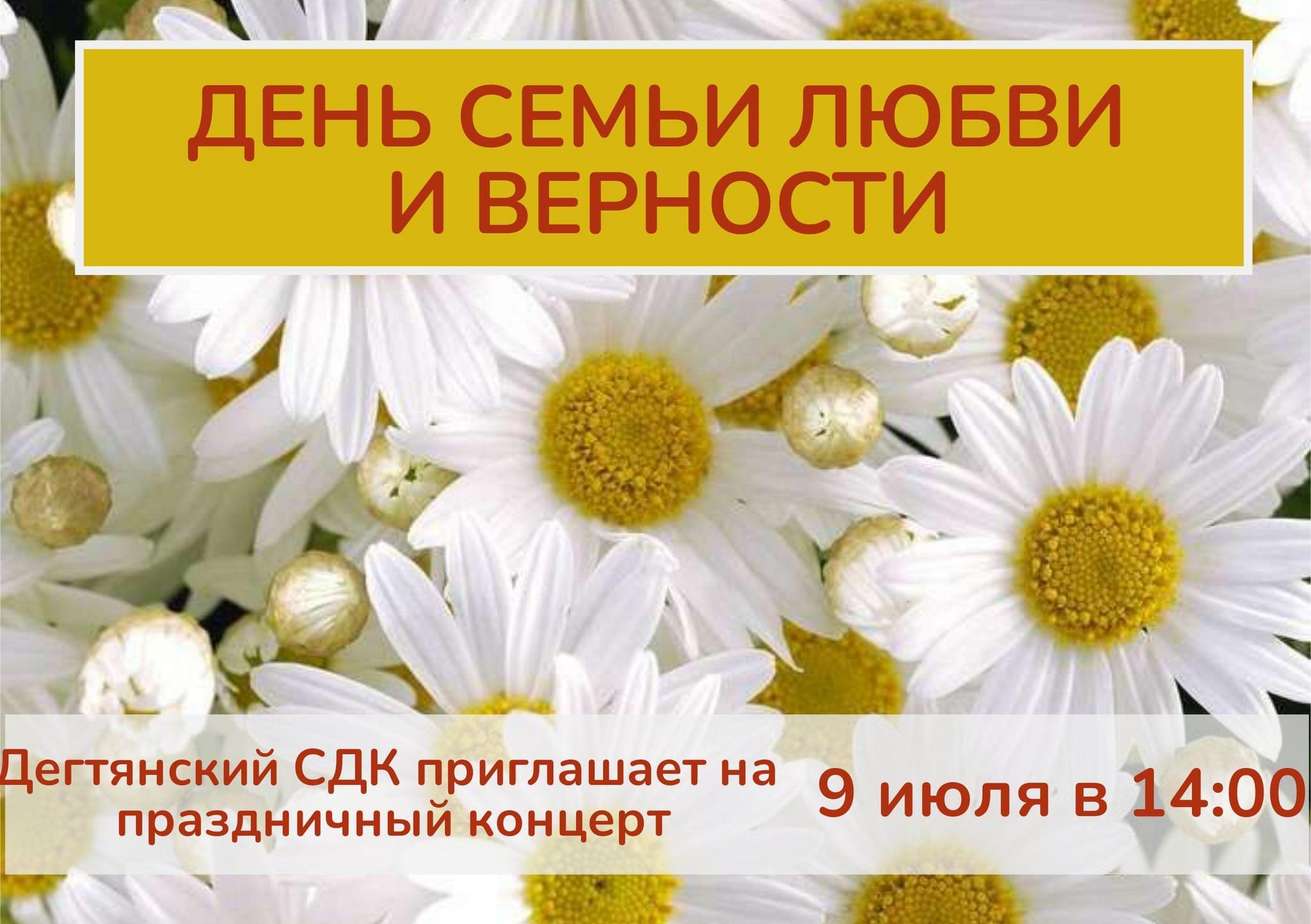 Фон ромашки день семьи любви и верности