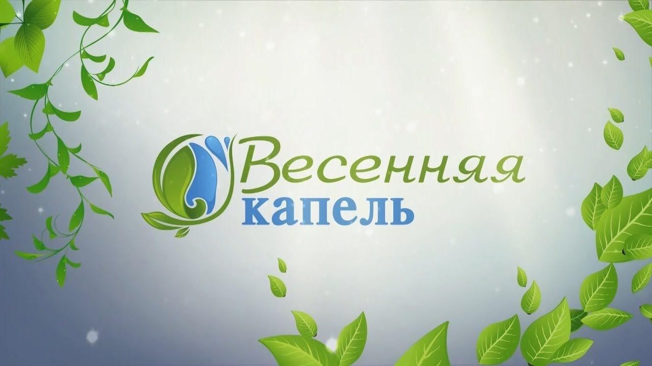 Весенняя капель проект