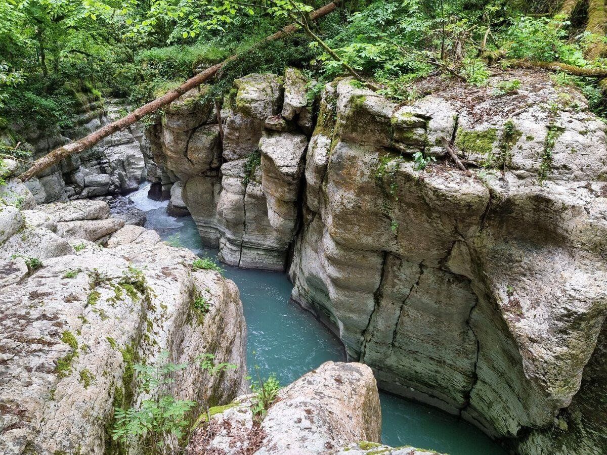 Каньон белые скалы лесная ул 9б фото Тисо-самшитовый лес Picture of Belyye Skaly Canyon, Krasnaya Volya Tripadvis