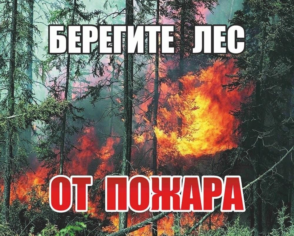 Берегите лес от огня картинки