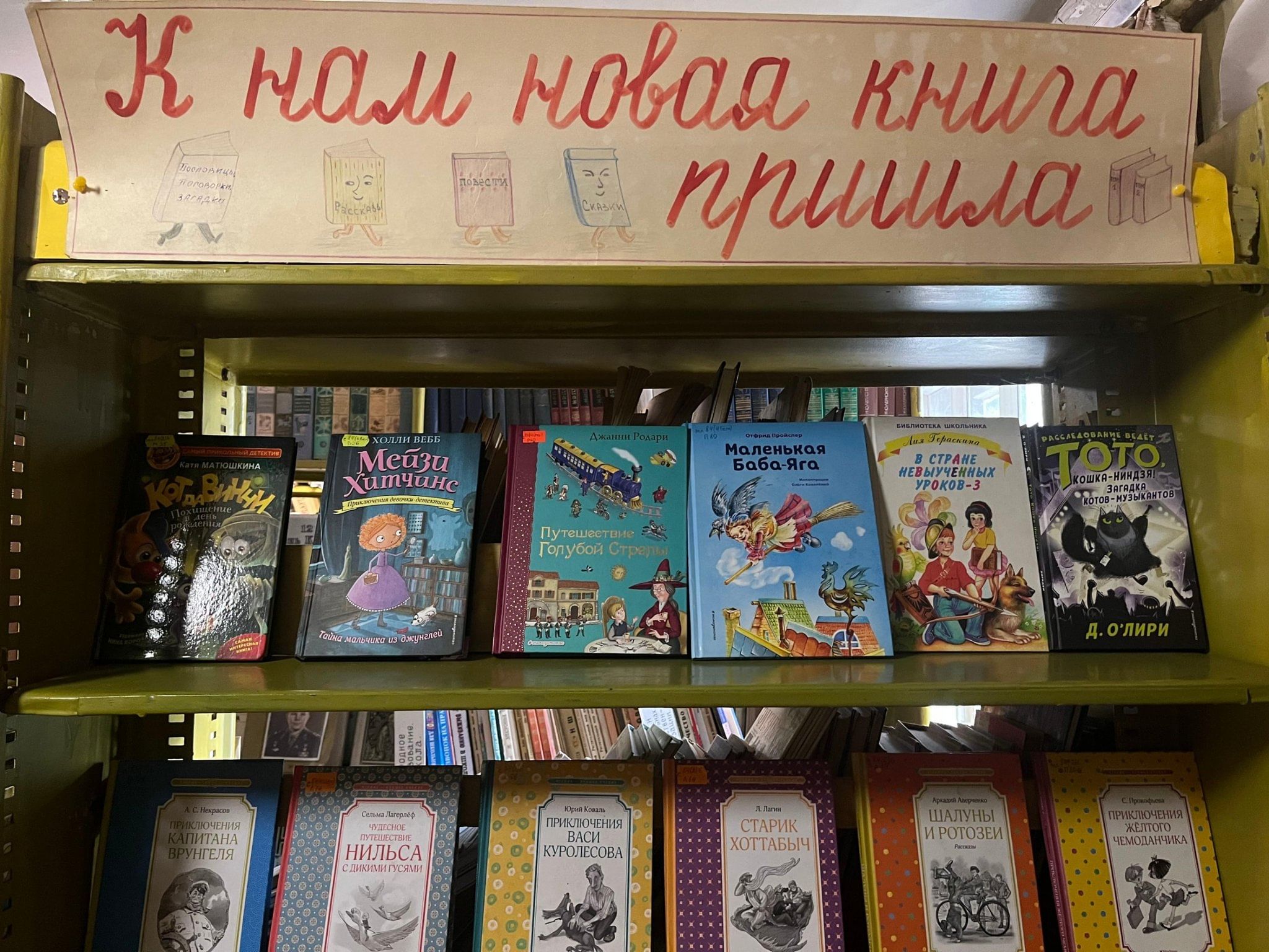 В библиотеку пришла новая книга» 2023, Дзержинский район — дата и место  проведения, программа мероприятия.