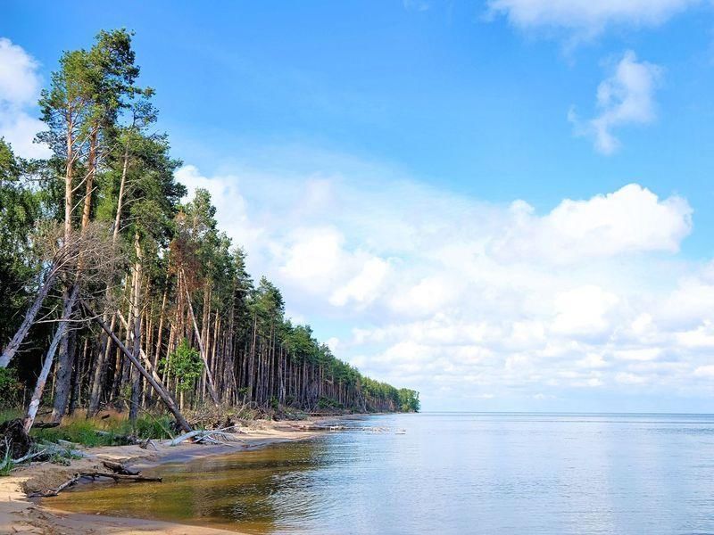 Рыбачий Калининградская область