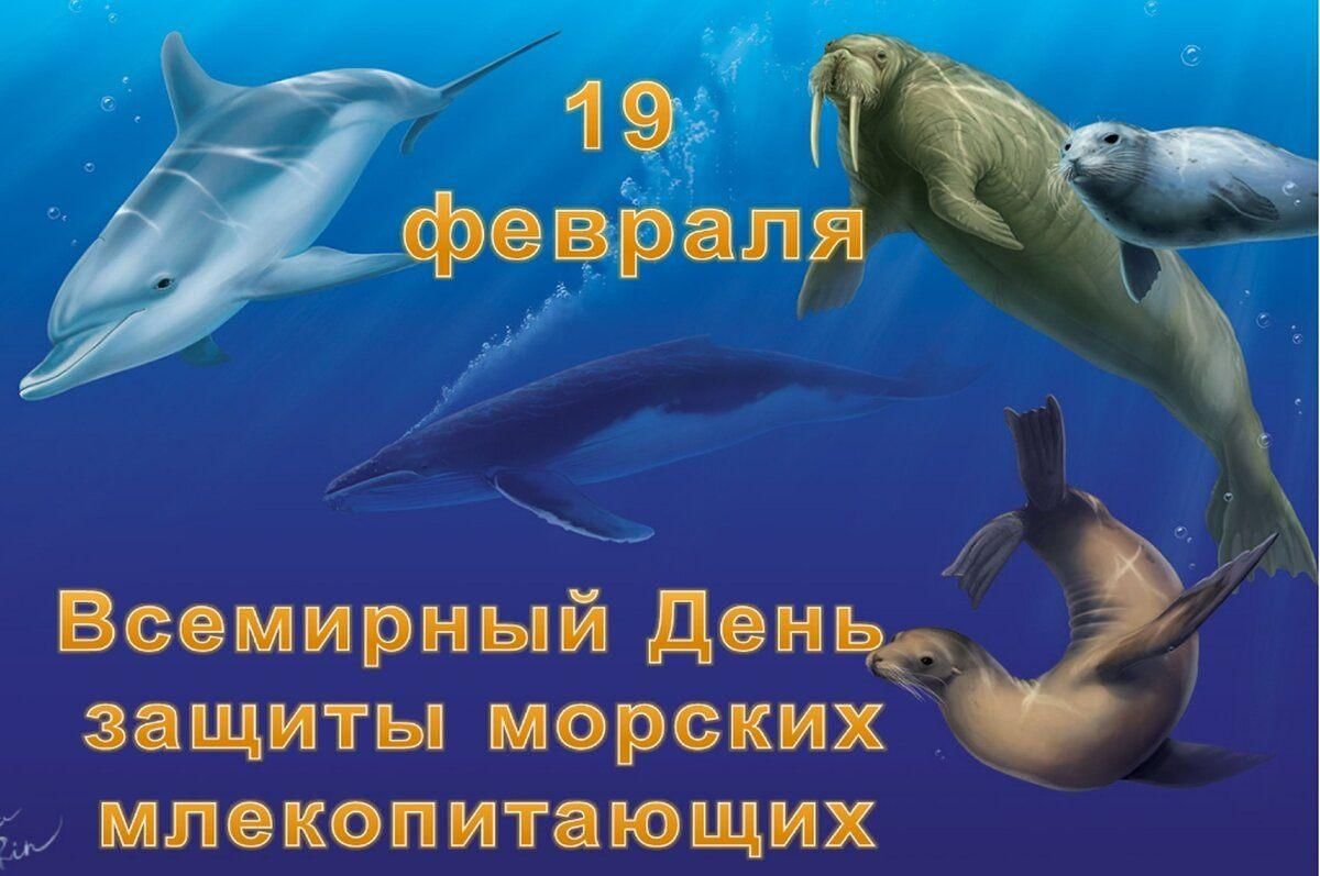 всемирный день китов