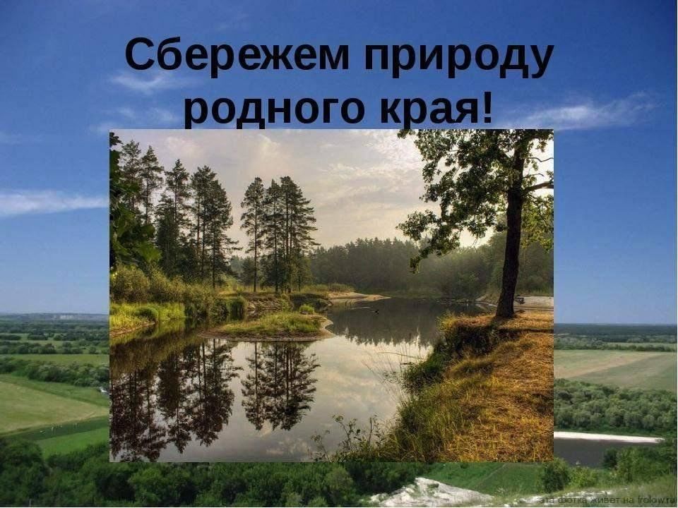 Проект охрана природы в нижегородской области 4 класс окружающий мир