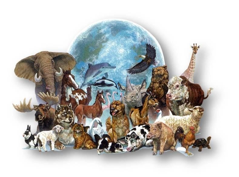Планета животных. День животных. День защиты животных. Всемирный день зверей.