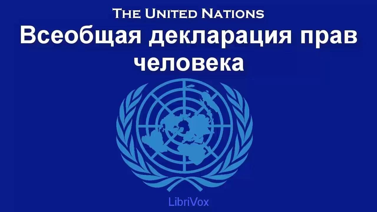 Всеобщая декларация прав человека пример Исторический экспромт "Человек. Государство. Закон" 2023, Прохладненский район -