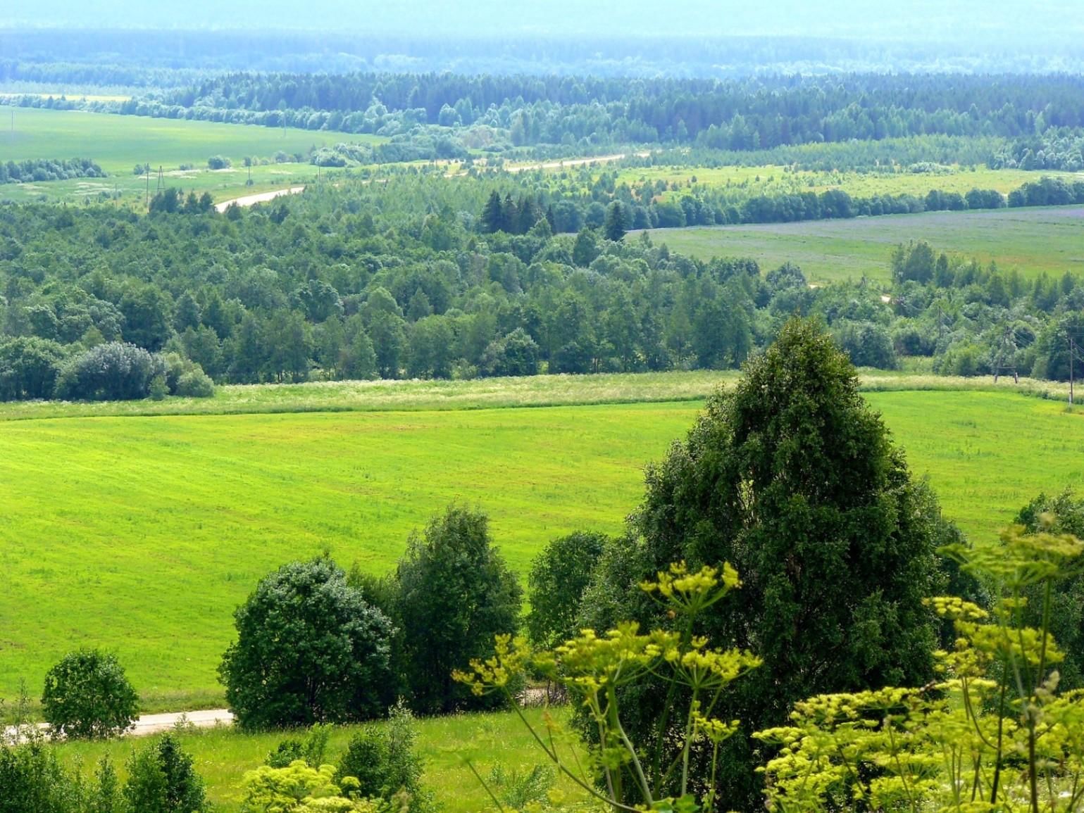 Моя малая родина фото