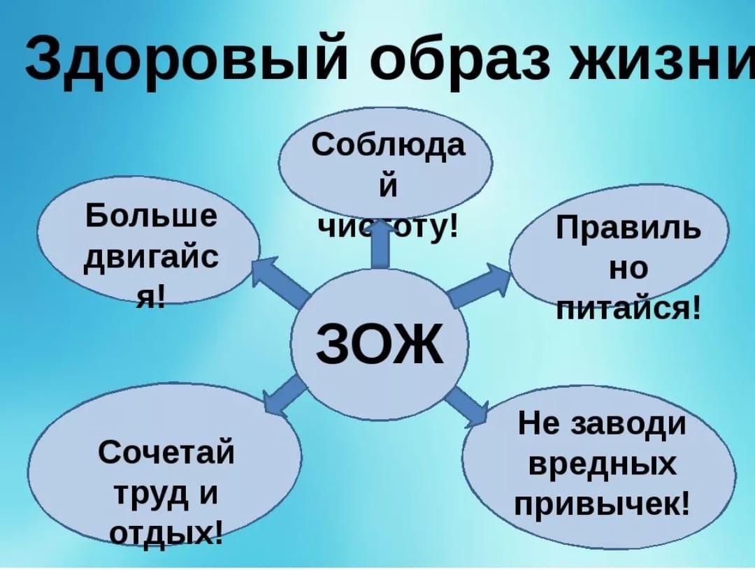 Тема проекта здоровый образ жизни