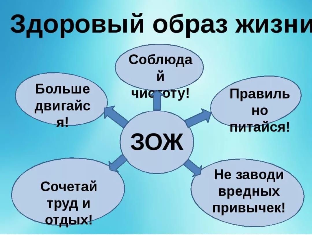 Готовый проект на тему здоровый образ жизни 11 класс