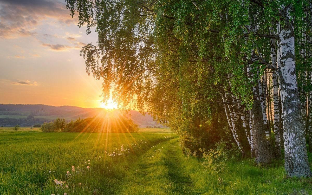 Промчался день картинки
