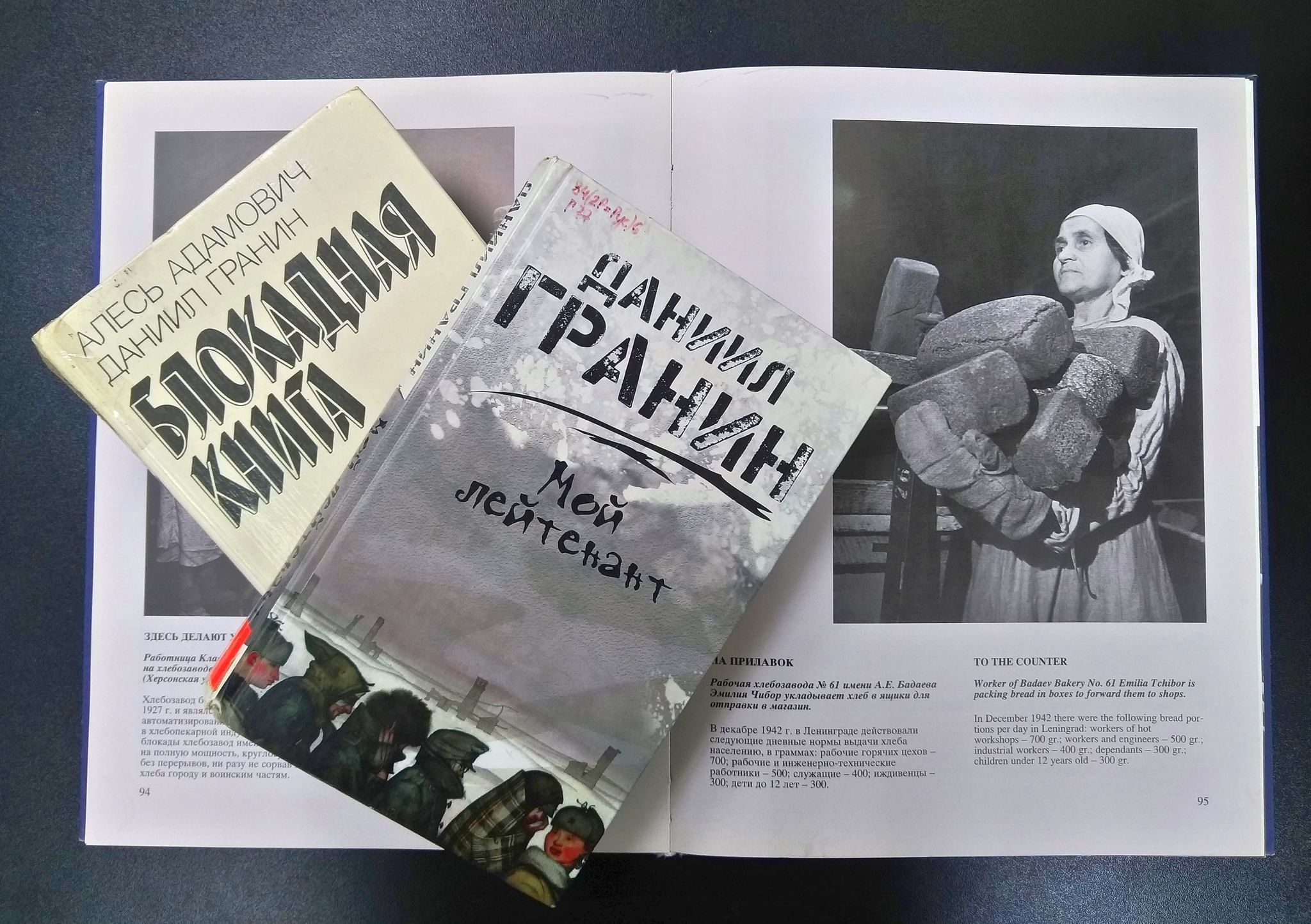 План блокадная книга