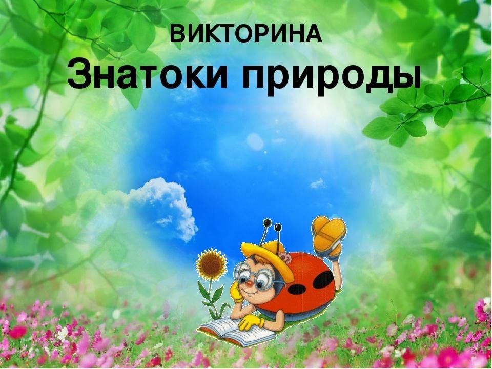 Природа детям презентация