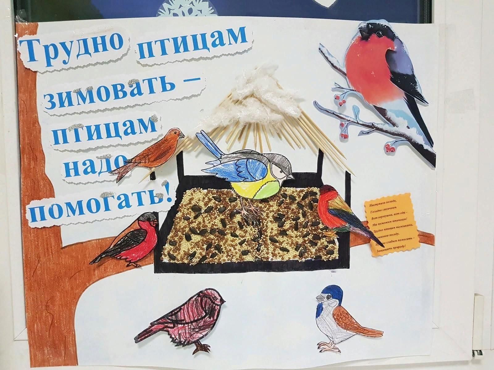 Проект на тему покорми птиц зимой