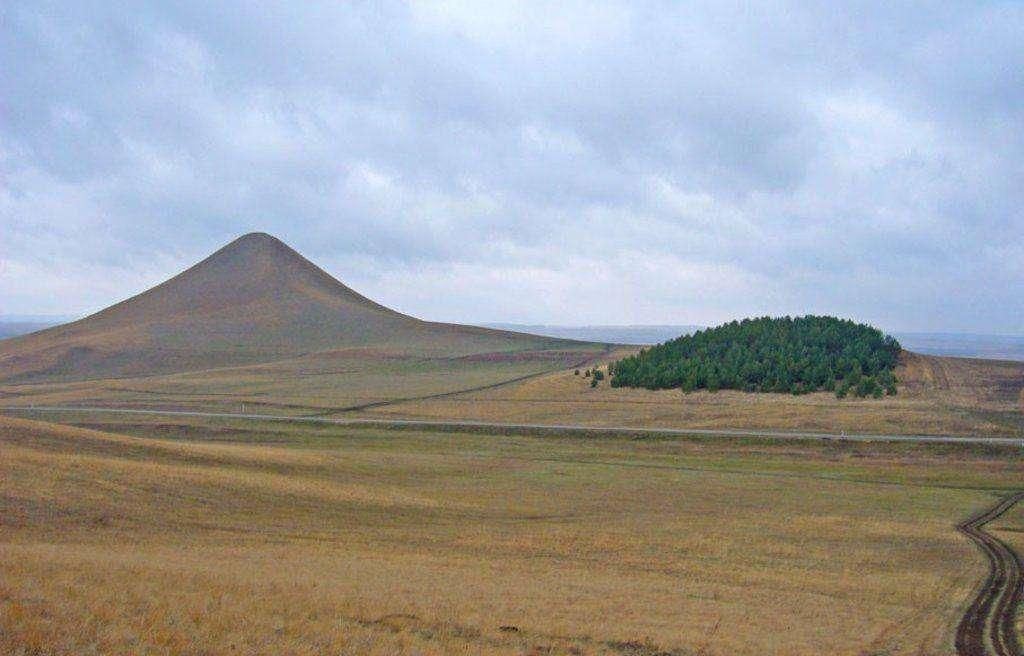 Альшеевский район раевский фото