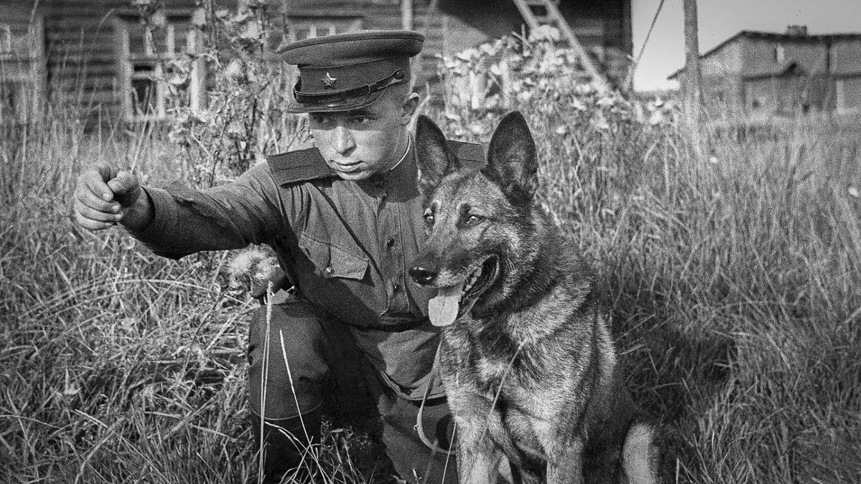 Фото пограничников вов 1941 1945