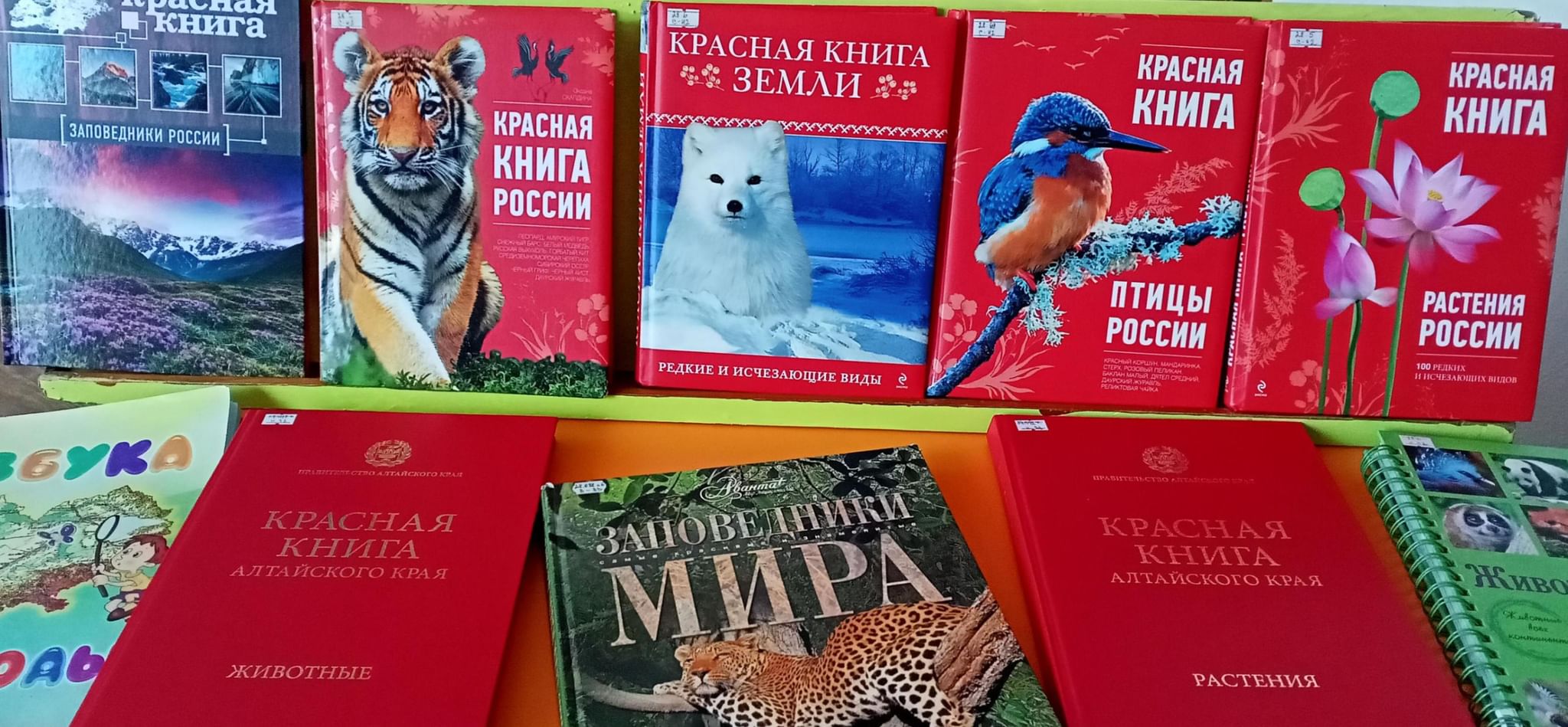 Красная книга России книга 2021