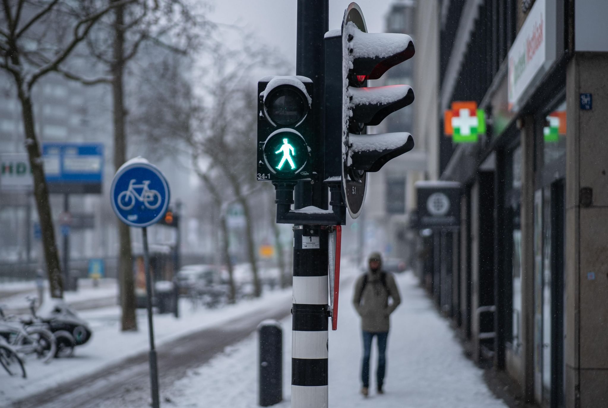 Японский светофор. Pedestrian Traffic Light Green Screen.