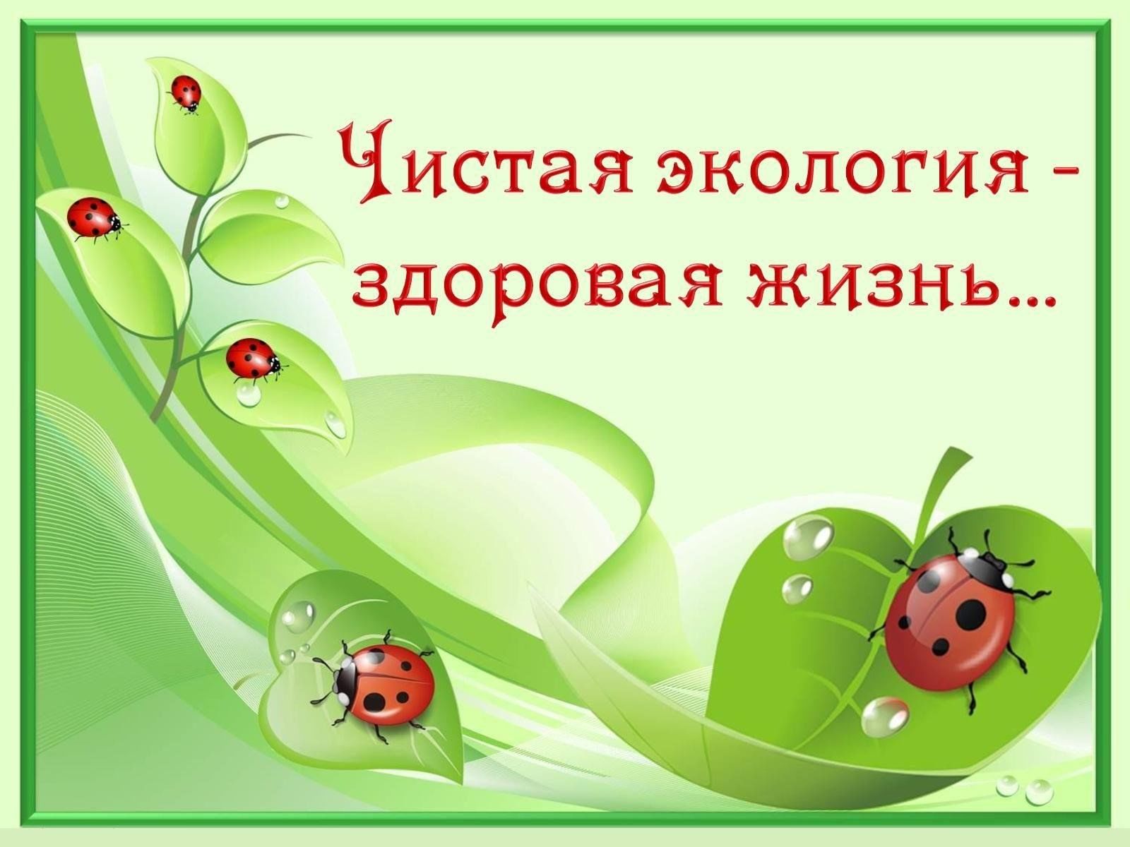 4 класс жизнь класса. Чистая экология здоровая жизнь. Чистея экрлогич здоровая жизнь. Картинки для презентации здоровье и экология. Экология здоровья для дошкольников.