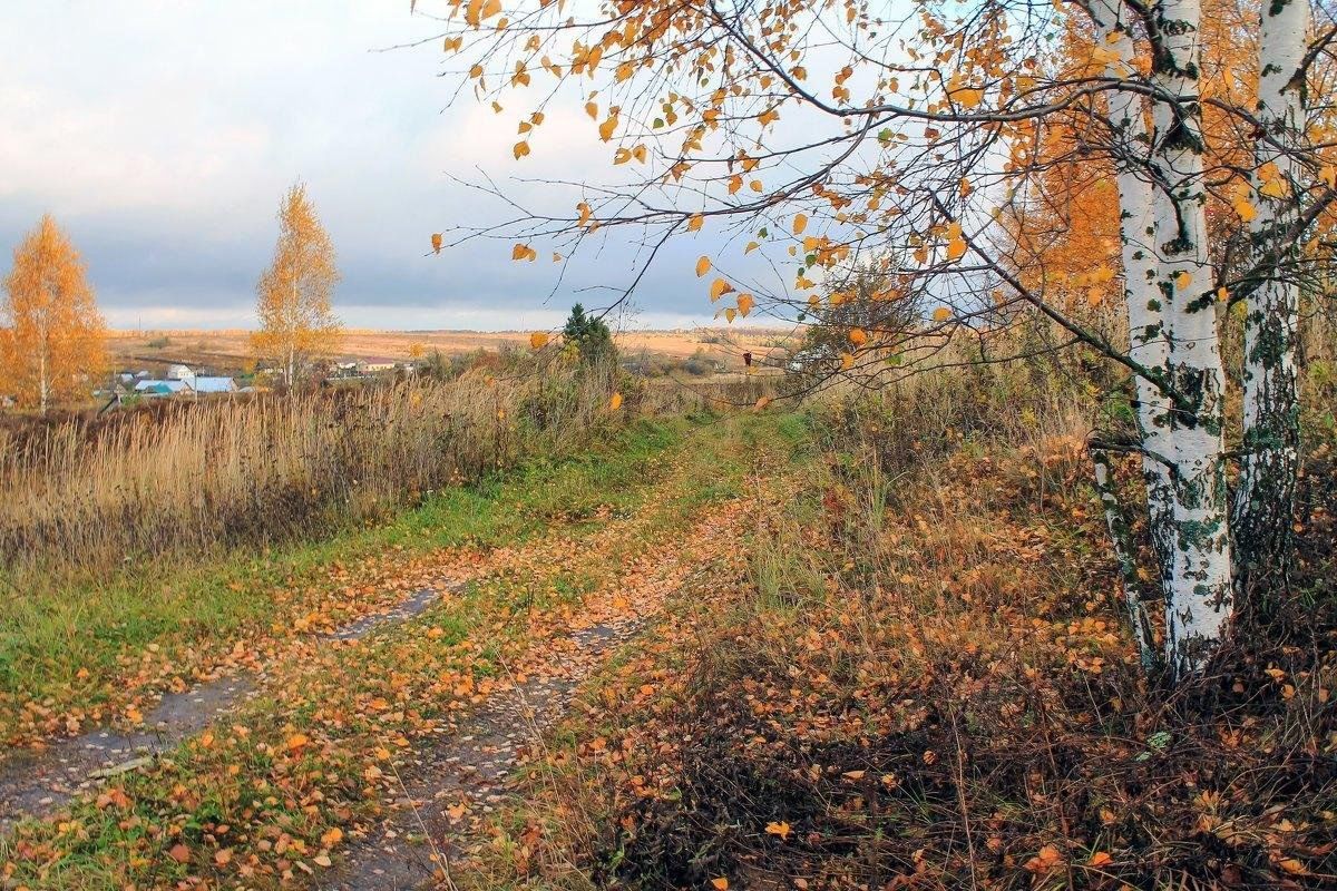 Подмосковье октябрь деревня природа фото Программа "Есть в России уголок, милый сердцу городок" 2023, Новооскольский райо