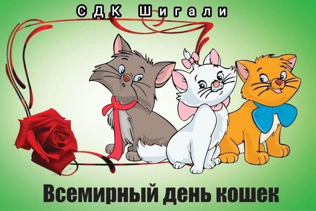 День котиков в россии. Всемирный день кошек. Всемирный день. Всемирный день кошек открытки. Всемирный день кошек с праздником.