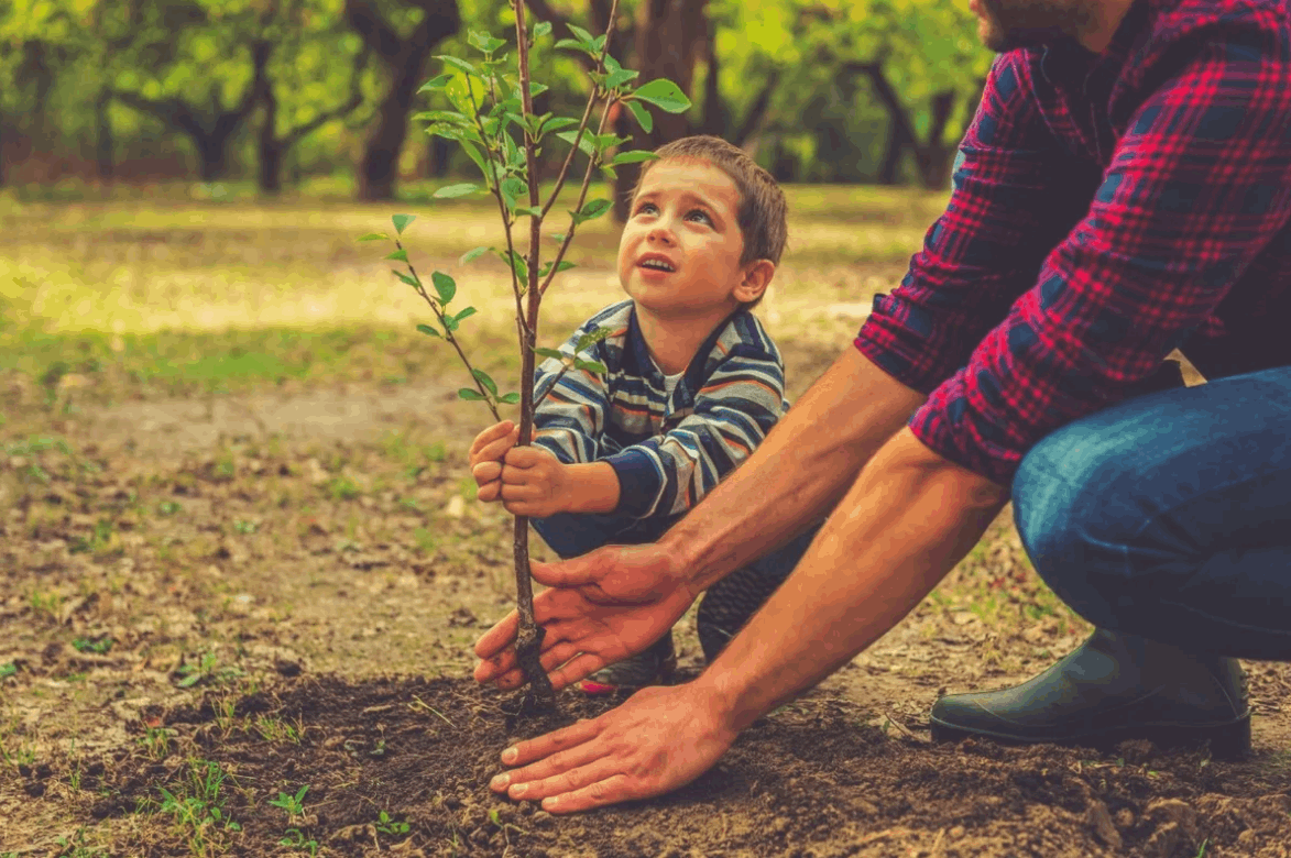 Природа образец для человека