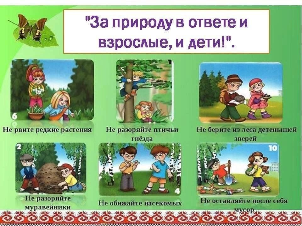 Что можно и нельзя делать 20 августа. Правила поведения в лесу для детей. Правлаповедеявприроде. Д/И правила поведения в лесу. Павилапведенияв природе.