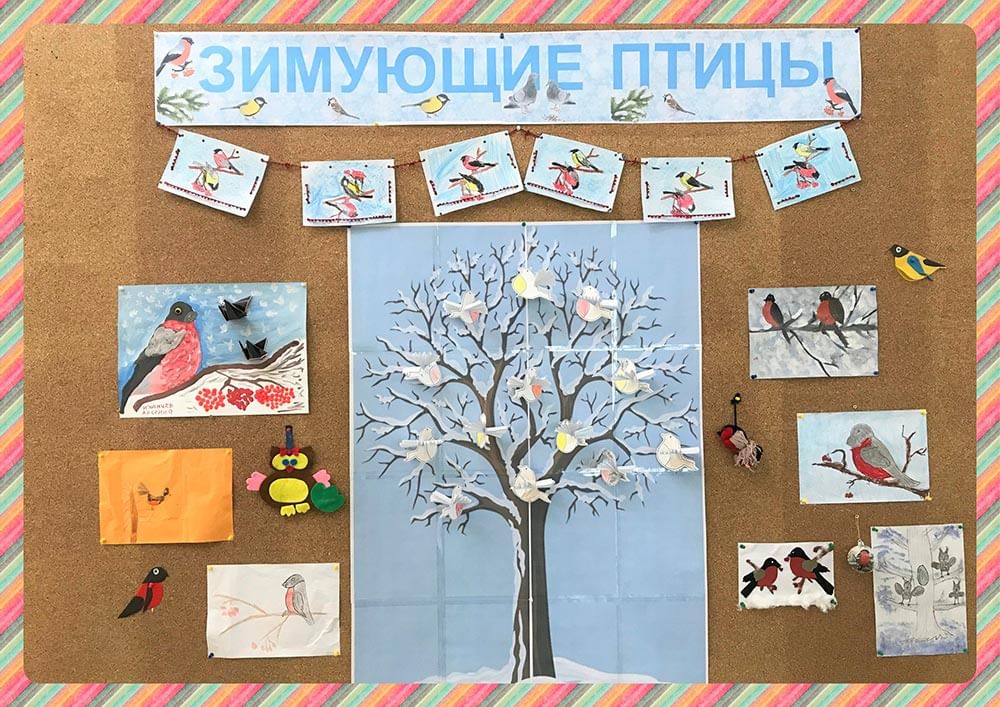 творчество на тему зимующие птицы. выставка птиц. лэп бук зимующие птицы. лэпбук птицы. выставки о зимующих птицах для детей.
